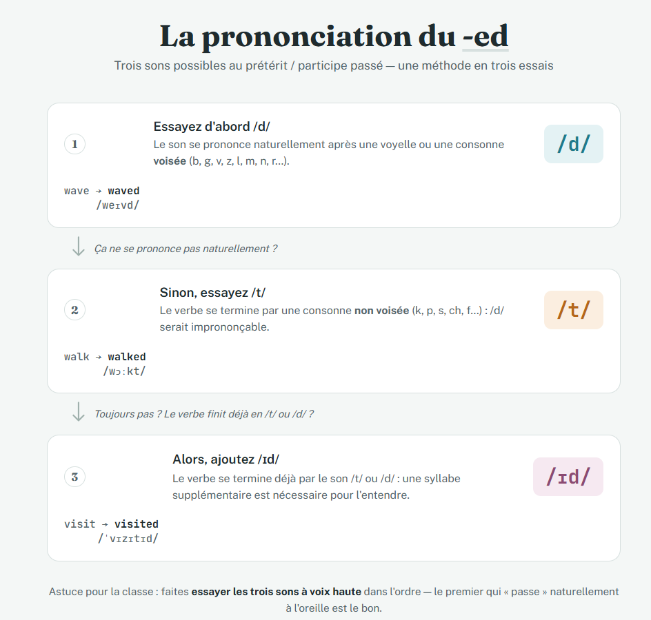 Prononciation de la terminaison -ed : /d/, /t/ ou /id/